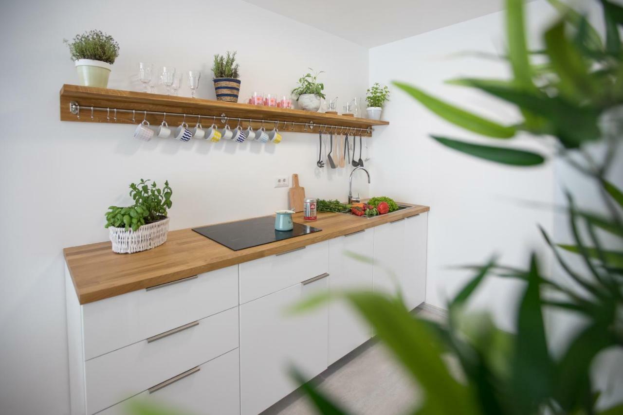 לובליאנה Family Apartment With Garden מראה חיצוני תמונה