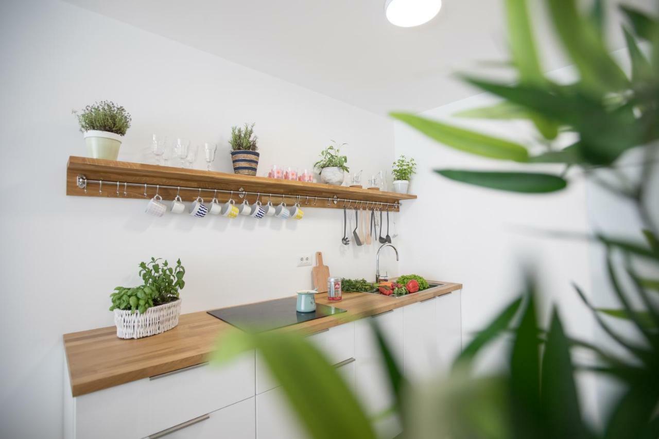 לובליאנה Family Apartment With Garden מראה חיצוני תמונה